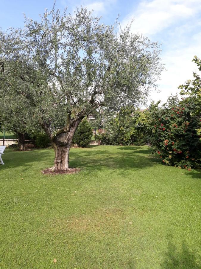 Appartamento Alice Cavaion Veronese Exteriér fotografie